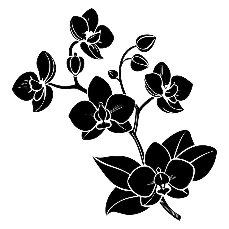 Vector elemento de diseño de motivo floral