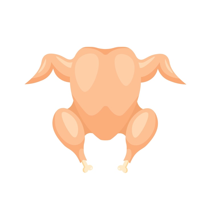 Vector elemento de diseño de pavo o pollo completo fresco ilustración vectorial en estilo plano de moda aislado