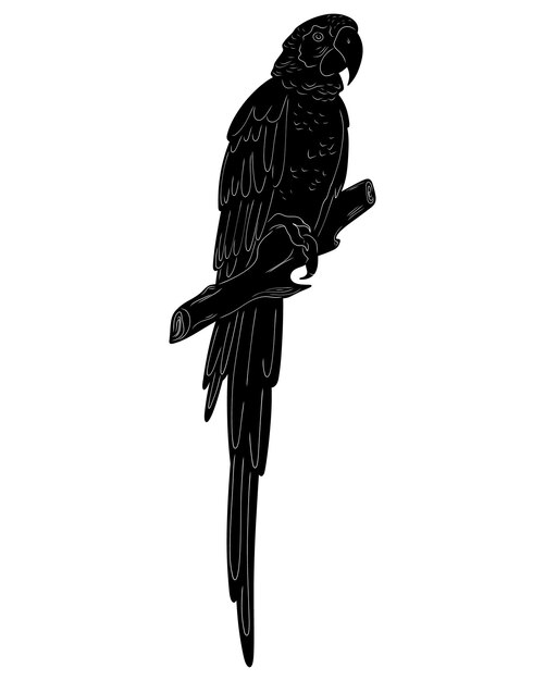 Elemento de diseño de silueta vectorial negro de vista natural del guacamayo