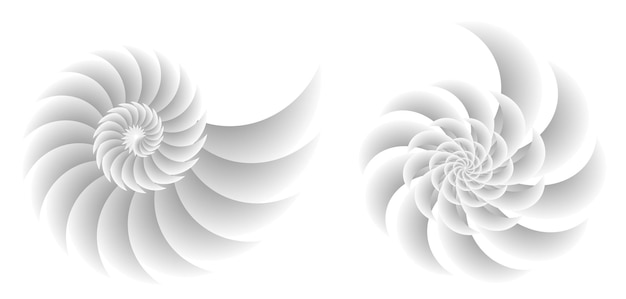 Elemento de diseño tor espiral abstracto sobre fondo blanco de líneas de giro Ilustración vectorial eps 10 para salón de belleza de icono para tarjeta de visita elegante fondo evento fiesta volante mar equipo océano concha