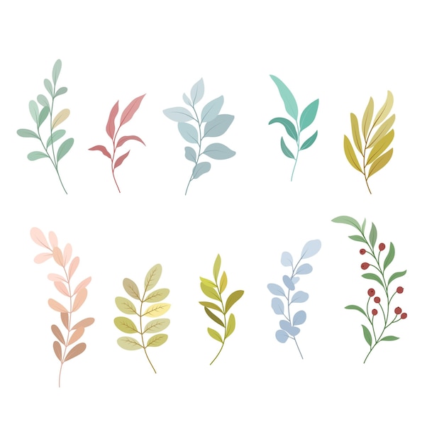 Elemento de diseño del vector de follaje hojas silvestres