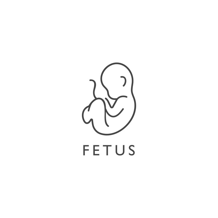 Elemento de diseño vectorial e icono en estilo lineal feto Signo de logotipo