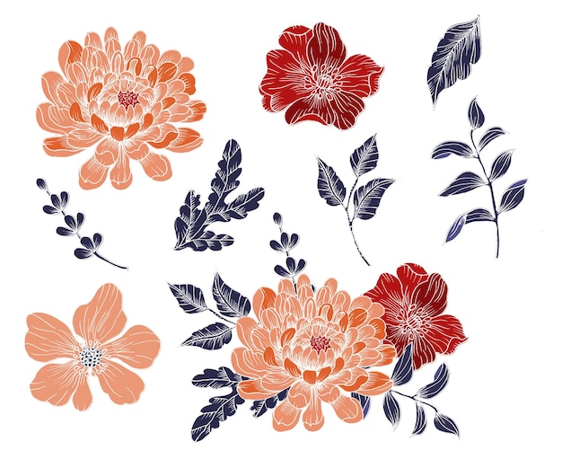 Elemento de la flor de Dahlia dibujado a mano