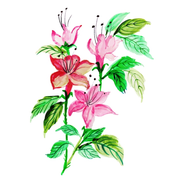 Vector elemento floral de acuarela