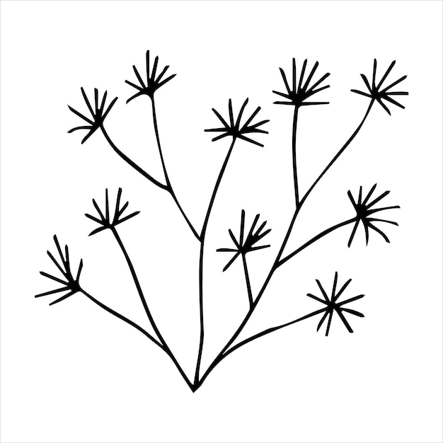 Elemento floral botánico de garabato dibujado a mano para el concepto de diseño floral