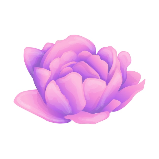 Elemento floral vectorial sobre fondo blanco