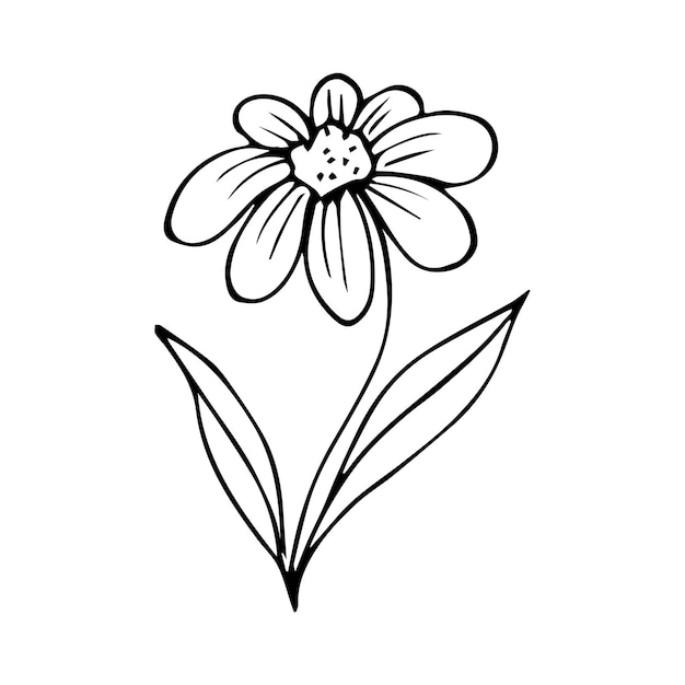 Elemento de garabato de flores botánicas dibujadas a mano para el concepto de diseño floral