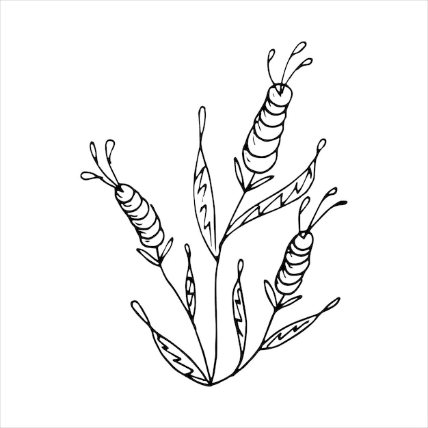 Elemento de garabato único de flor dibujada a mano para colorear postal de invitación Imagen vectorial en blanco y negro
