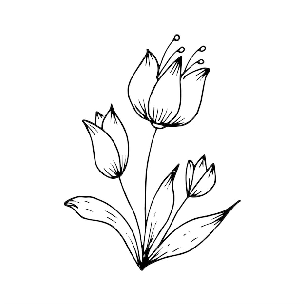 Elemento de garabato único de flor dibujada a mano para colorear postal de invitación Imagen vectorial en blanco y negro