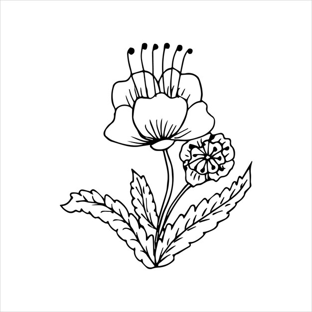 Elemento de garabato único de flor dibujada a mano para colorear postal de invitación Imagen vectorial en blanco y negro