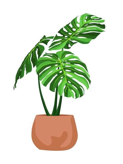 Elemento hermoso del diseño del ejemplo del vector de las plantas del árbol de monstera