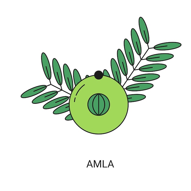 Vector elemento de icono de fruta exótica amla para web