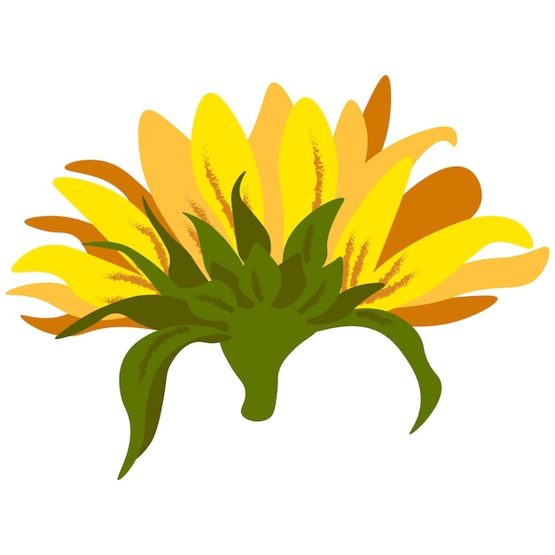 Elemento individual de vector de girasol