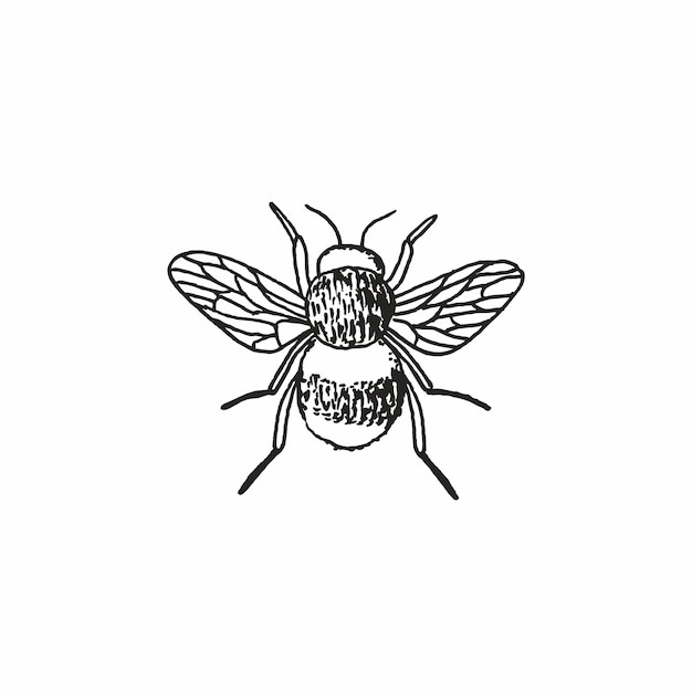 Elemento de logotipo de vector de abeja insecto dibujado