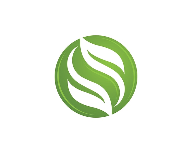 Elemento de naturaleza ecología de hoja de árbol verde