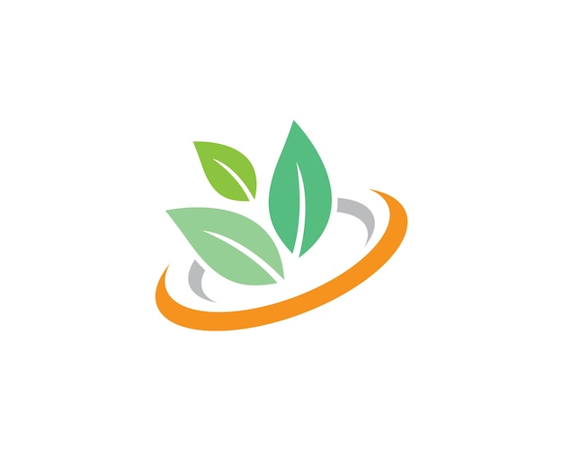 Elemento de naturaleza ecología de hoja de árbol