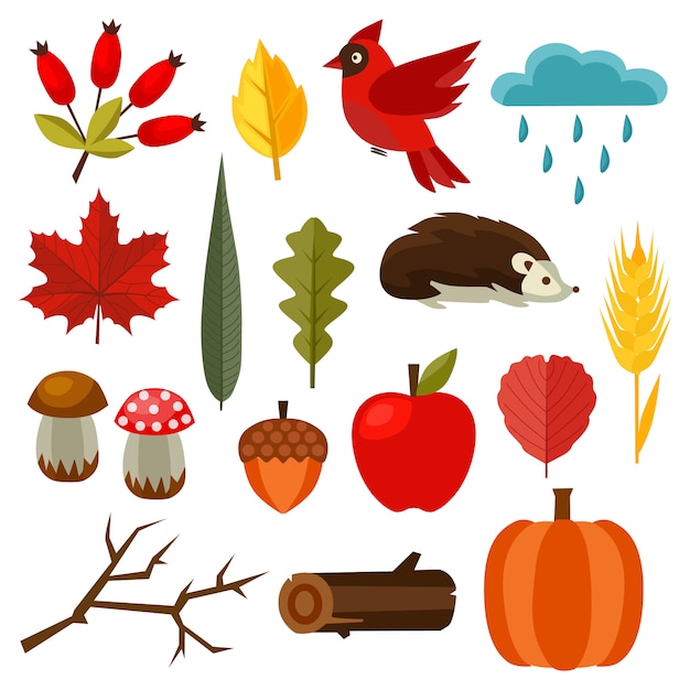 Vector elemento de naturaleza de otoño conjunto de elementos de estilo plano