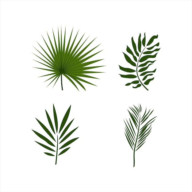 elemento de naturaleza verde de hojas de palma
