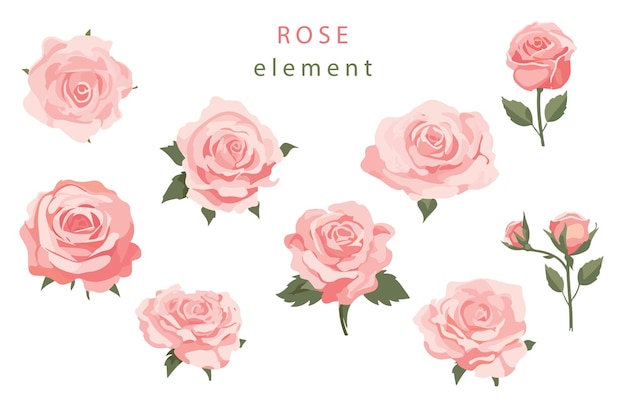 elemento de objeto rosa rosa con vector de ilustración de hoja para pegatina postal