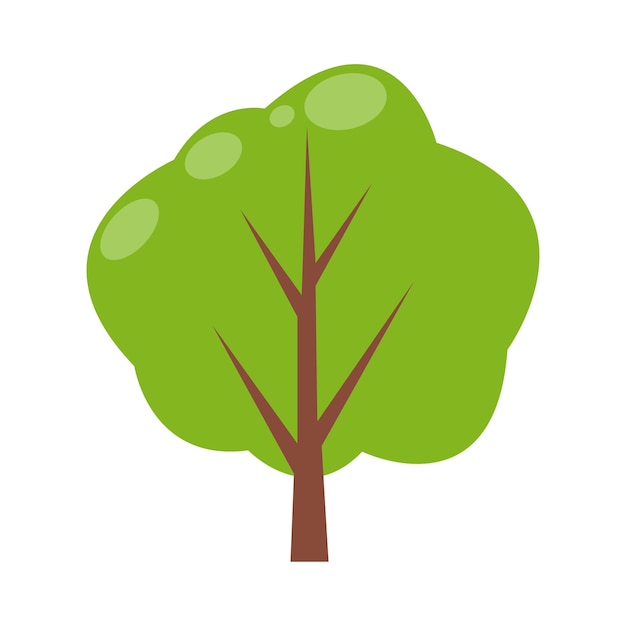 Elemento plano del árbol