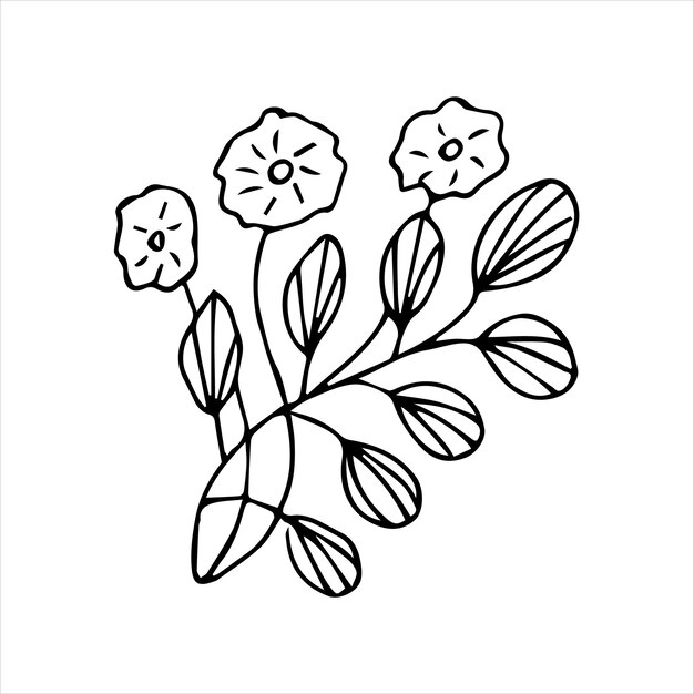 Elemento de planta de garabato dibujado a mano para el concepto de diseño floral