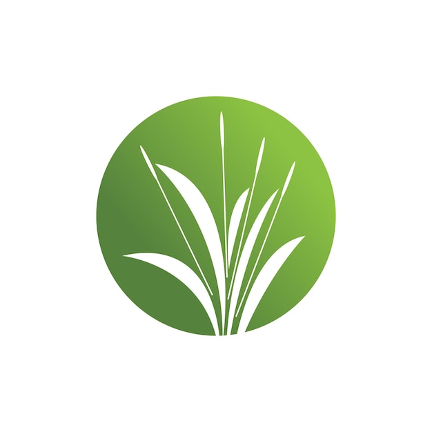 Elemento y símbolo de la plantilla del vector del logotipo de la hierba
