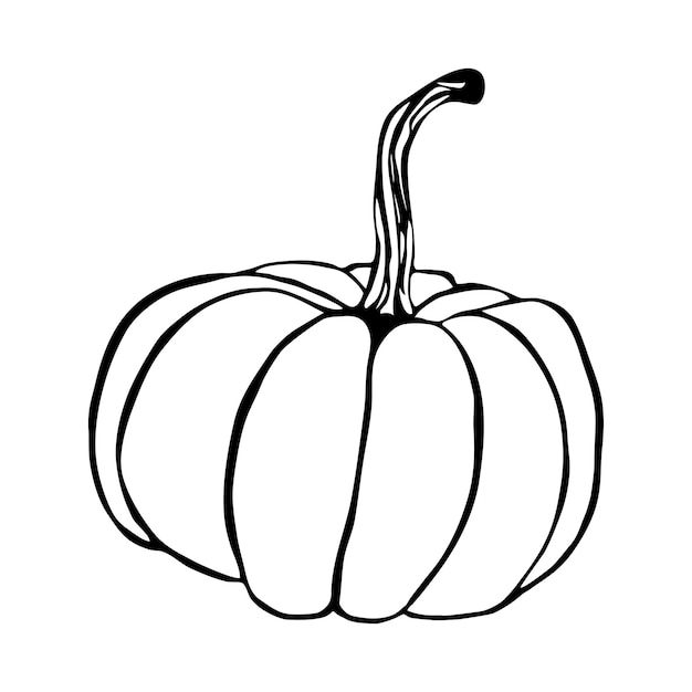 Elemento único de vector de calabaza de garabato aislado en un fondo blanco