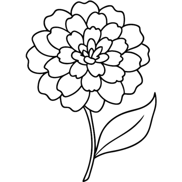 Elemento vectorial artístico de la línea de flores de Marigold