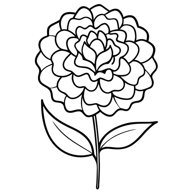 Elemento vectorial artístico de la línea de flores de Marigold