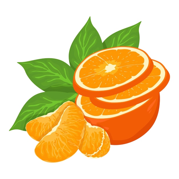 Vector elemento vectorial de hojas de frutas naranjas frescas de mandarina conjunto de corte completo por la mitad en rodajas en trozos