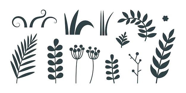 Elementos aislados para diseño botánico - rama con hojas, hojas y hierba. Siluetas de plantas planas vectoriales. Elementos de diseño, iconos.