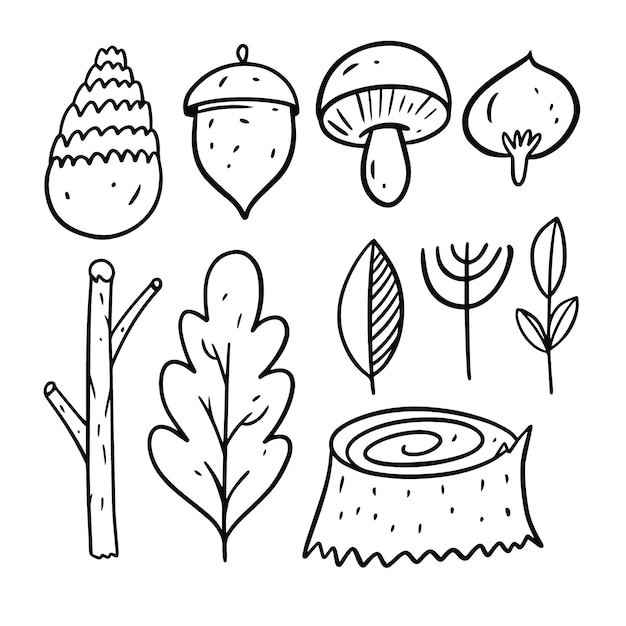 Elementos del bosque otoñal. Estilo de dibujo de Doodle. Dibujos animados para colorear arte lineal. Ilustración vectorial Aislado sobre fondo blanco.