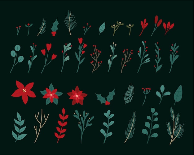 Elementos botánicos de invierno. decoración navideña Plantas de invierno, flores, hojas para decoración.