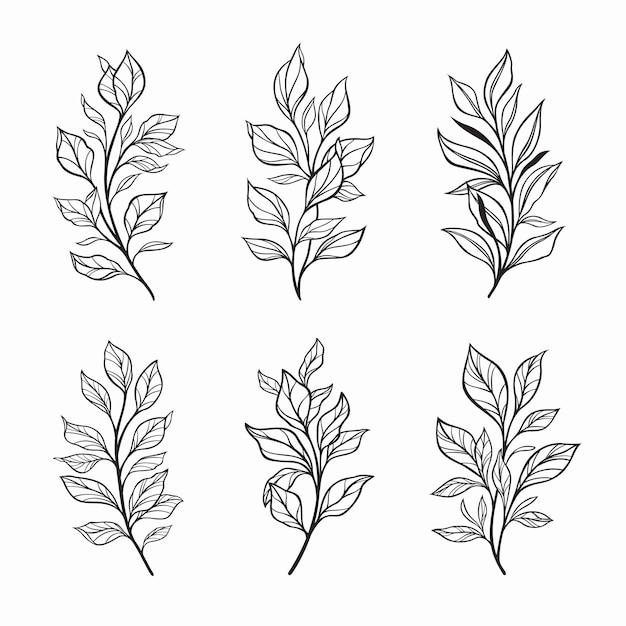 Vector elementos botánicos de moda hojas de línea dibujadas a mano ramas y floración