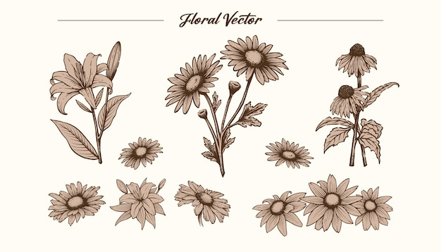 Elementos de conjuntos vectoriales florales en estilo moderno minimalista