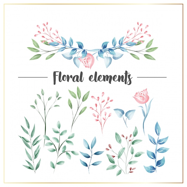 Vector elementos de decoración floral acuarela