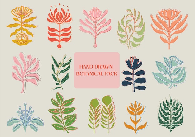 Elementos decorativos florales dibujados a mano hojas flores hierbas y ramas conjunto botánico