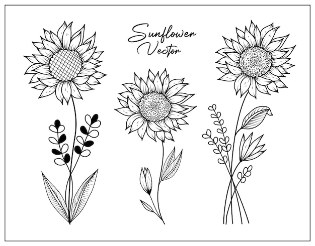 Elementos decorativos florales dibujados a mano de vector libre