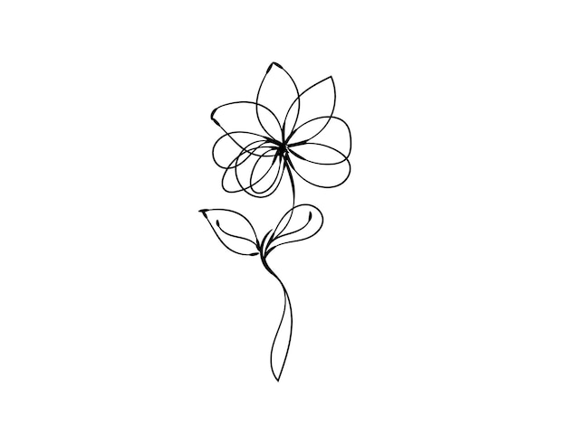 elementos decorativos florales dibujados a mano