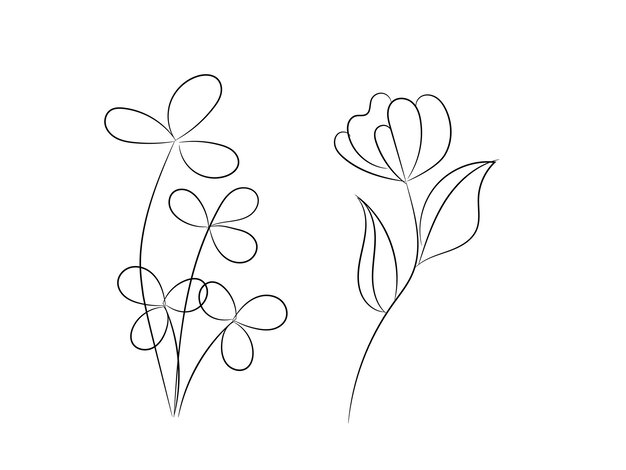 elementos decorativos florales dibujados a mano