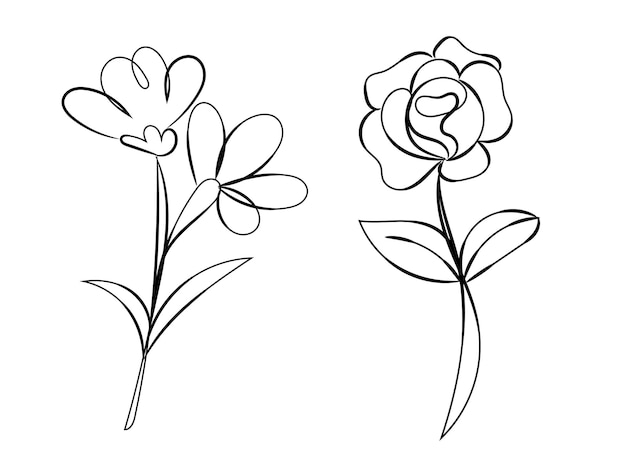 Elementos decorativos florales dibujados a mano