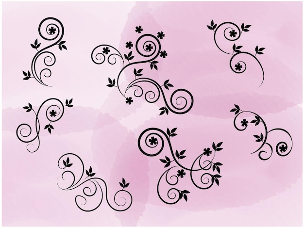 Elementos decorativos florales dibujados a mano