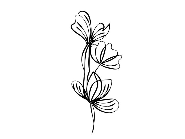 Elementos decorativos florales