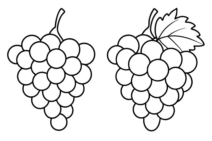 Vector elementos decorativos de la línea de uva para proyectos de diseño artístico