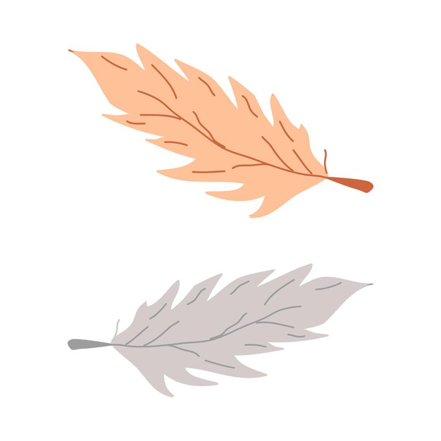 Elementos dibujados a mano, plumas de aves de colores, tribu salvaje, diseño de carteles, folleto, ilustración vectorial