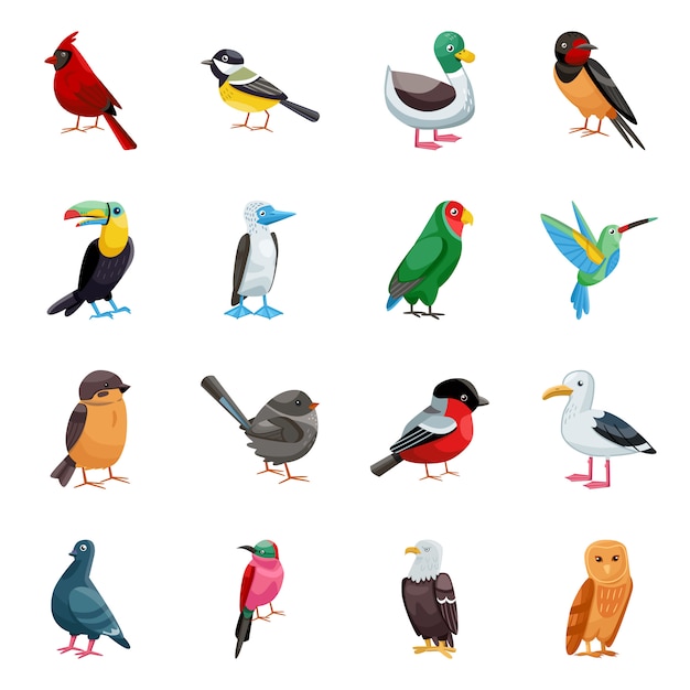 Elementos de dibujos animados de aves silvestres. Ilustración aislada de animales salvajes. Conjunto de elementos de aves.