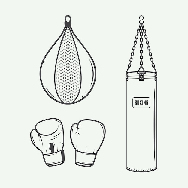 Vector elementos de diseño de boxeo