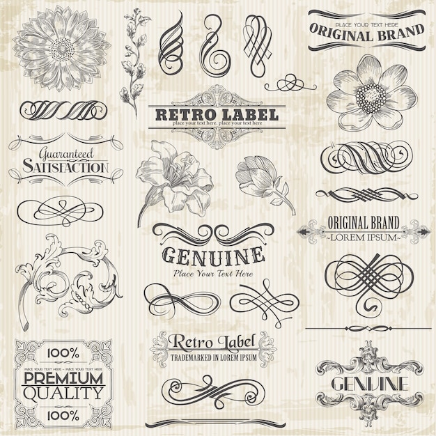 Vector elementos de diseño caligráfico y decoración de páginas
