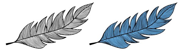 Elementos de diseño de dibujo de plumas dibujados a mano sobre fondo blanco Elementos de invitación de boda