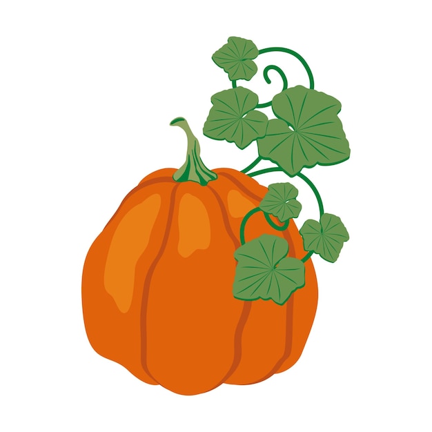 Vector elementos de diseño en forma de hojas, calabaza. una colección de imágenes prediseñadas temáticas de otoño, elementos